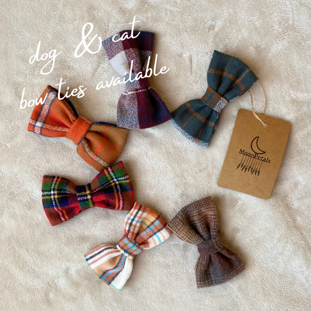Dog Bow Tie