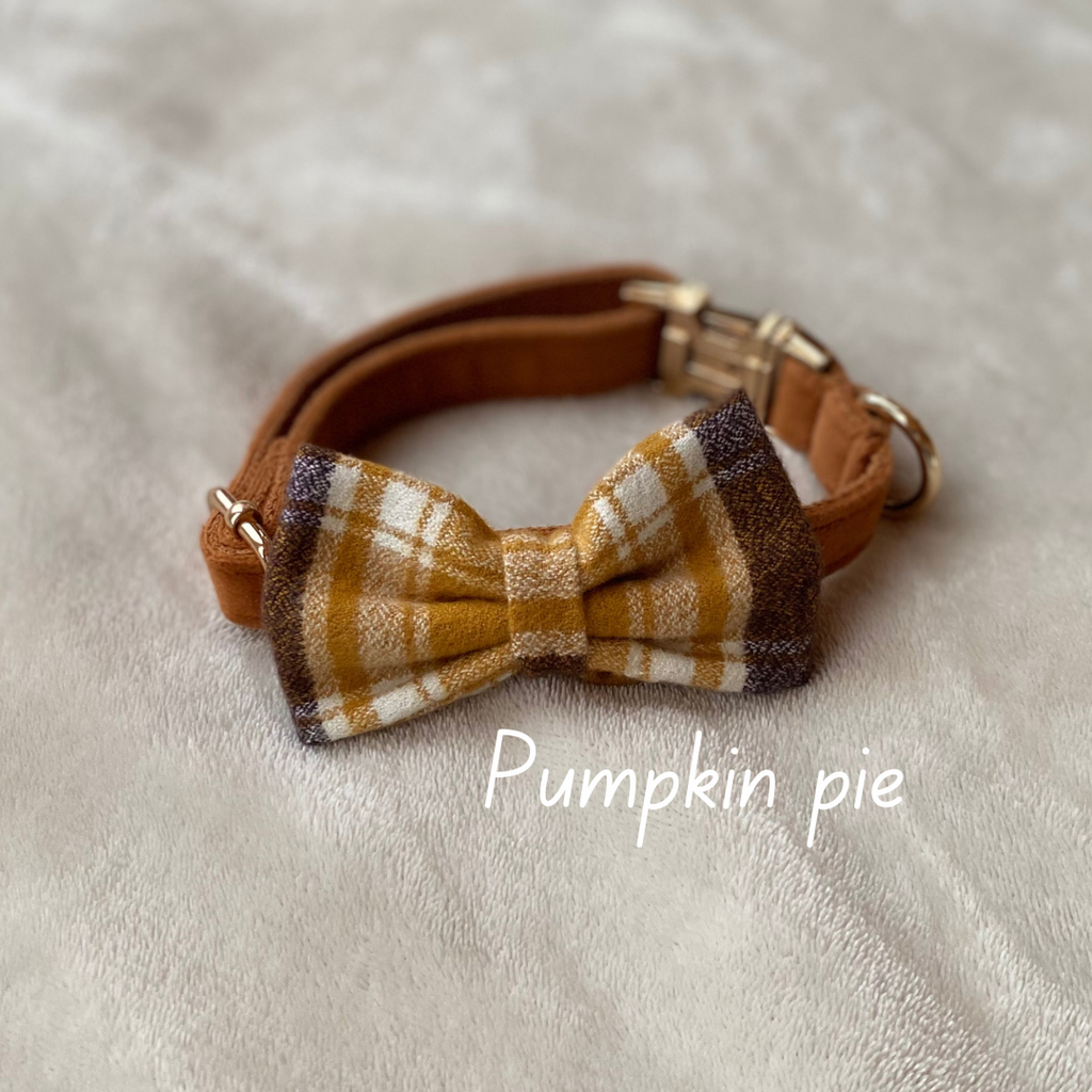 Dog Bow Tie