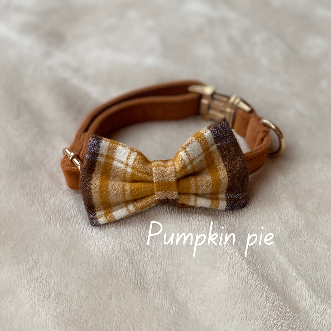 Dog Bow Tie